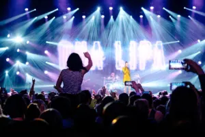 how did vic falls carnival work