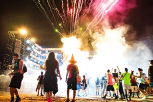 vic falls carnival