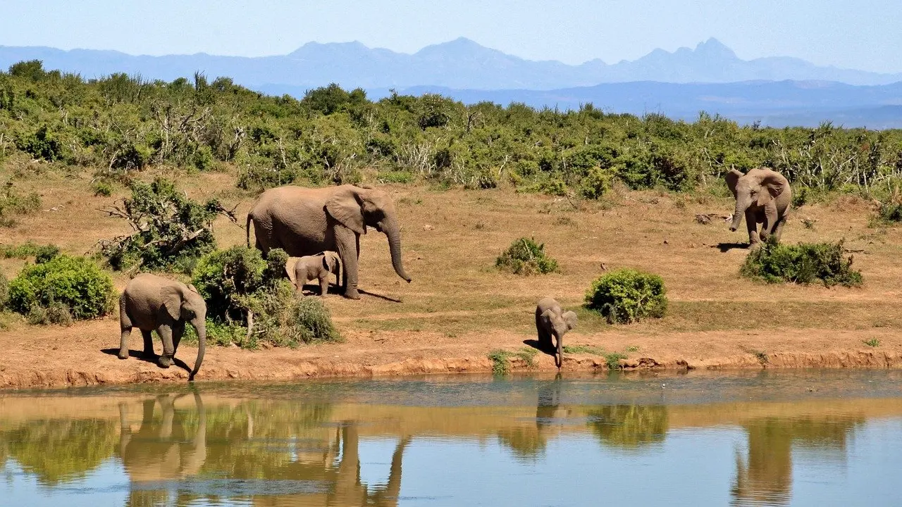 best time to visit zambia