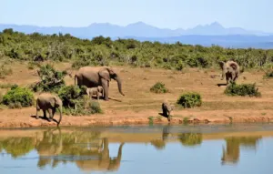 best time to visit zambia