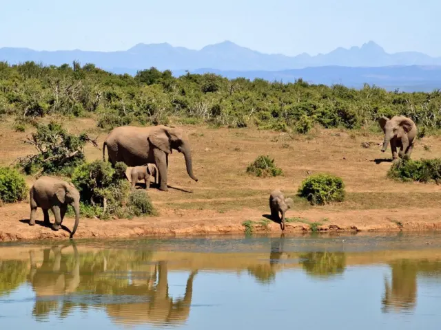 Best Time to Visit Zambia Guide